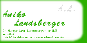 aniko landsberger business card